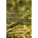 Needle in a Haystack: A Story of Resilient Grieving--Not Just Surviving, but Thriving