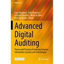 Advanced Digital Auditing: Theory and Practice of Auditing Complex Information Systems and Technologies