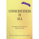 Consciousness Is All: The Magnificent Truth of What You Are