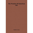 The Promise Of American Life
