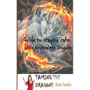 Taming The Dragons: Guide to staying calm while pitching the Dragons