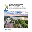 Scaling up Nature-based Solutions to Tackle Water-related Climate Risks