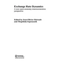 Exchange Rate Dynamics: A New Open Economy Macroeconomics Perspectives