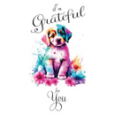 I'm Grateful for You...: A Double Gratitude Journal