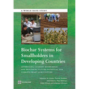 Biochar Systems for Smallholders in Developing Countries: Leveraging Current Knowledge and Exploring Future Potential for Climate-Smart Agriculture