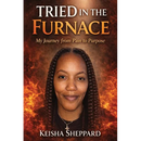 Tried in the Furnace my Journey from pain to Purpose