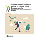 Policies to Support Green Entrepreneurship
