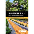 Blueberries