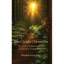 The Cicada Chronicles: One Broken Woman's Journey To Spiritual Transformation