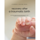 Guided Toolkit for Emotional Healing & Recovery After A Traumatic Birth: Navigating Complex Emotions, Processing Guilt, Shame, Flashbacks, and Postpar