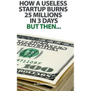 How a useless startup burns 25 millions in 3 days: but then...