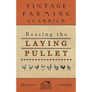 Rearing the Laying Pullet